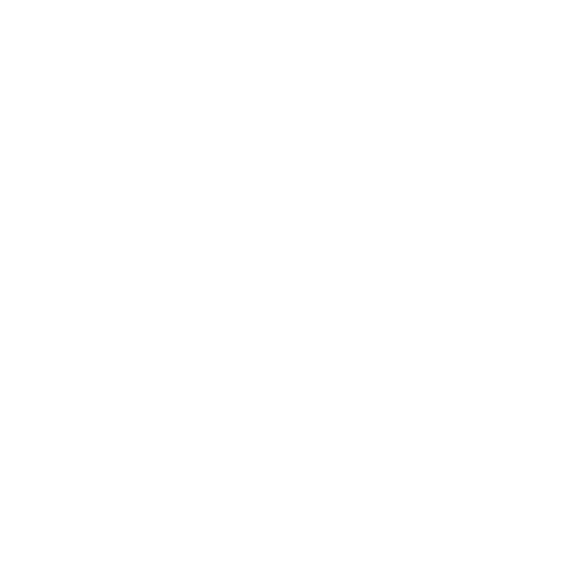Conocimiento Práctico Icon